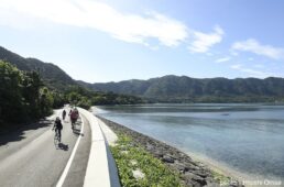 新城幸也サイクリングイベント2024