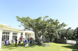 新城幸也サイクリングイベント2024