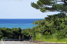 新城幸也サイクリングイベント2024