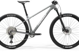 メリダ限定モデル　2024.12