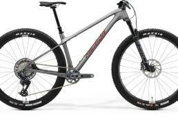 メリダ限定モデル　2024.12