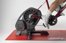 エリート・ディレート再生産