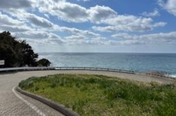 サイスポ　80km程度のソロで楽しむ日帰りサイクリングルート