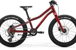 メリダ限定モデル　2024.12