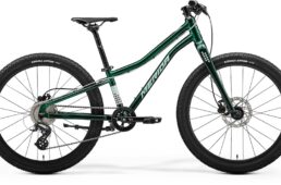 メリダ限定モデル　2024.12