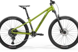 メリダ限定モデル　2024.12