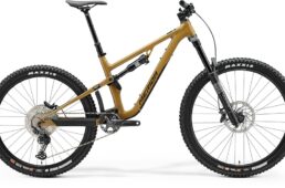 メリダ限定モデル　2024.12