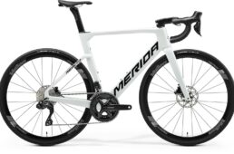 メリダ限定モデル　2024.12