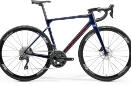 メリダ限定モデル　2024.12