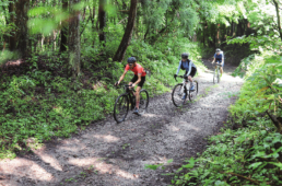 視界が悪い場所