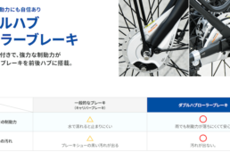 ダブルハブローラーブレーキ