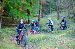 自転車協会　杉浦佳子インタビュー