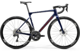 メリダ限定モデル　2024.12