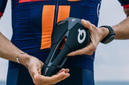 チームピクニック・ポストNL