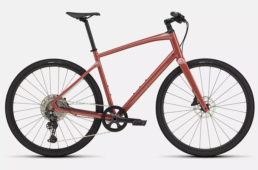 スペシャライズド2024.12新色