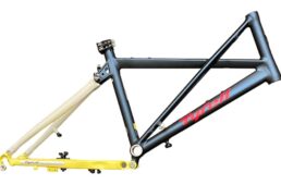 タイレルのカラーオーダーシステム