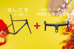 SLC3とゼロSL
