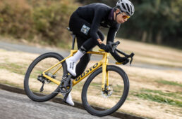 グスト・コブラ エボ プロ TEを試乗