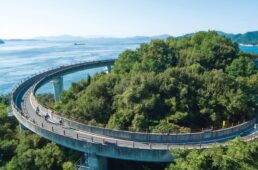 Velo-city（自転車国際会議）