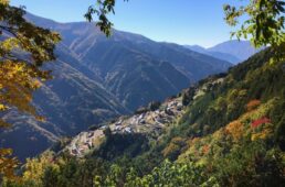 自転車協会　ながらスマホ罰則