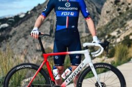 フィランテのキュングカラー