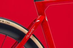 フィランテのキュングカラー