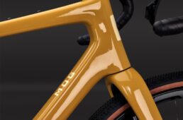 エンヴィ・モグ 2025新色