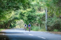 ツールドやばけい