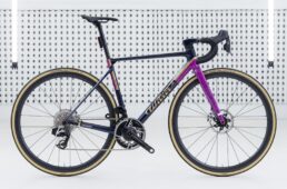 ヴェルティカーレのカスタムカラーオーダー