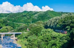 ジャパンエコトラック　わたらせ渓谷（群馬県）