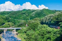 ジャパンエコトラック　わたらせ渓谷（群馬県）