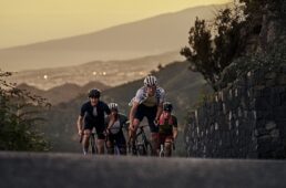 インターテック　キャノンデール人材募集