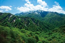 ジャパンエコトラック「白神山地／北秋田 森吉山」ルート