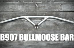 ダボス・B907 ブルムースバー