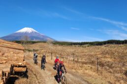 スタートしてすぐのところ