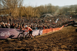 キャニオン　LINE友だち登録キャンペーン