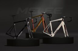 エンヴィ・メレ2025新色