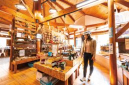 道の駅 一枚岩 モノリス