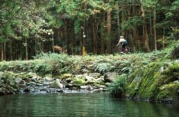 白浜を出発した先、日置川方面へ上った先