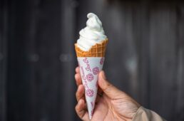 尾鷲牧場のソフトクリーム