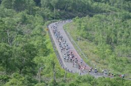 2024年ロードレースの様子