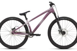 スペシャライズド2025新色