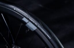 ハッチンソン　ブラックバード レース