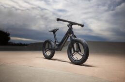 ジャイアント　プレ・リカーボン