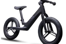 ジャイアント　プレ・リカーボン