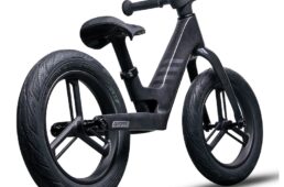 ジャイアント　プレ・リカーボン