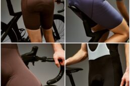 メカニズムプロビブ