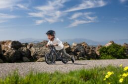 ジャイアント　プレ・リカーボン