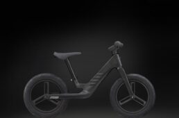 ジャイアント　プレ・リカーボン