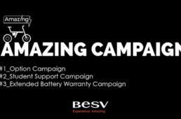 ベスビーのキャンペーン